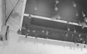 Archiv Foto Webcam Feistritz - Fledermaushaus 03:00
