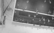 Archived image Webcam Feistritz / Gail - Bat House 23:00