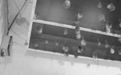 Archived image Webcam Feistritz / Gail - Bat House 01:00
