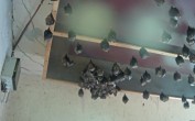 Archived image Webcam Feistritz / Gail - Bat House 07:00