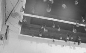 Archiv Foto Webcam Feistritz - Fledermaushaus 23:00