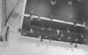 Archiv Foto Webcam Feistritz - Fledermaushaus 23:00