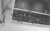 Archiv Foto Webcam Feistritz - Fledermaushaus 03:00