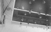 Archiv Foto Webcam Feistritz - Fledermaushaus 23:00