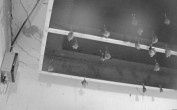 Archiv Foto Webcam Feistritz - Fledermaushaus 03:00