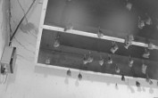 Archiv Foto Webcam Feistritz - Fledermaushaus 23:00