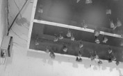 Archiv Foto Webcam Feistritz - Fledermaushaus 21:00