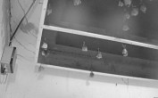 Archiv Foto Webcam Feistritz - Fledermaushaus 03:00