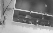 Archiv Foto Webcam Feistritz - Fledermaushaus 23:00