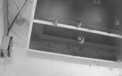 Archiv Foto Webcam Feistritz - Fledermaushaus 03:00