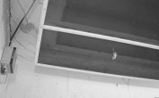 Archiv Foto Webcam Feistritz - Fledermaushaus 23:00