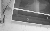 Archiv Foto Webcam Feistritz - Fledermaushaus 01:00