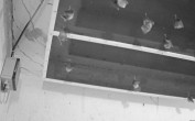 Archiv Foto Webcam Feistritz - Fledermaushaus 03:00