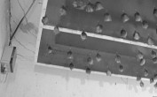 Archiv Foto Webcam Feistritz - Fledermaushaus 05:00