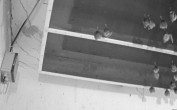 Archiv Foto Webcam Feistritz - Fledermaushaus 01:00