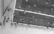 Archiv Foto Webcam Feistritz - Fledermaushaus 04:00
