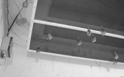 Archiv Foto Webcam Feistritz - Fledermaushaus 01:00