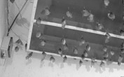 Archiv Foto Webcam Feistritz - Fledermaushaus 05:00