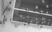 Archiv Foto Webcam Feistritz - Fledermaushaus 05:00