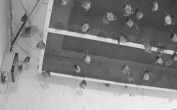 Archiv Foto Webcam Feistritz - Fledermaushaus 05:00