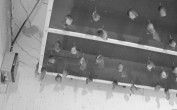Archived image Webcam Feistritz / Gail - Bat House 05:00