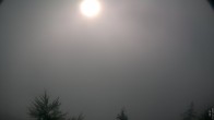 Archived image Webcam Eggental - Tischenwarte - Dolomites 07:00