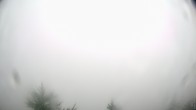 Archived image Webcam Eggental - Tischenwarte - Dolomites 07:00
