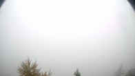 Archived image Webcam Eggental - Tischenwarte - Dolomites 09:00