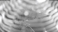 Archiv Foto Webcam Bad Dürrnberg 03:00