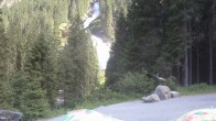 Archiv Foto Webcam Krimmler Wasserfall - Hanke&#39;s Café 15:00