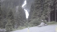 Archived image Webcam Hanke&#39;s Café - Krimml Waterfalls 19:00