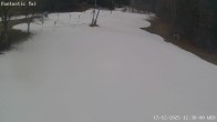 Archiv Foto Webcam Talstation Fantasticlift, Harmanschlag 11:00
