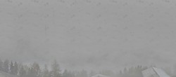 Archived image Webcam Panoramic View Passeier Valley 11:00