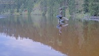 Archived image Webcam Lake Mummelsee - Black Forest 05:00