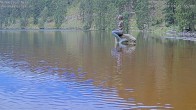 Archived image Webcam Lake Mummelsee - Black Forest 07:00