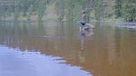 Archived image Webcam Lake Mummelsee - Black Forest 11:00