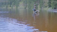 Archived image Webcam Lake Mummelsee - Black Forest 13:00