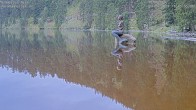 Archived image Webcam Lake Mummelsee - Black Forest 17:00