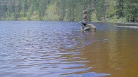 Archived image Webcam Lake Mummelsee - Black Forest 09:00