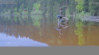 Archived image Webcam Lake Mummelsee - Black Forest 06:00