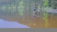 Archived image Webcam Lake Mummelsee - Black Forest 15:00