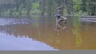 Archived image Webcam Lake Mummelsee - Black Forest 17:00