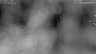 Archived image Webcam Lake Mummelsee - Black Forest 01:00