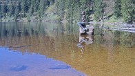 Archiv Foto Webcam Ufer Mummelsee 09:00
