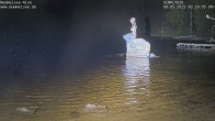 Archiv Foto Webcam Ufer Mummelsee 23:00