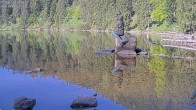 Archived image Webcam Lake Mummelsee - Black Forest 07:00