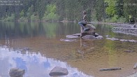 Archived image Webcam Lake Mummelsee - Black Forest 13:00