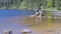Archived image Webcam Lake Mummelsee - Black Forest 09:00