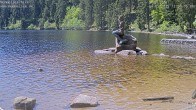 Archived image Webcam Lake Mummelsee - Black Forest 11:00
