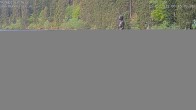 Archiv Foto Webcam Ufer Mummelsee 05:00